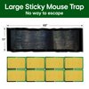 ELEGENZO Sticky Mouse Trap Mouse Traps Indoor for Home Rat Traps That Work for Trapping Snakes Rats Spiders Roaches & Other Rodents, 3 Transparent