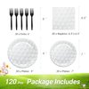 LMJUNZZ 120 Pcs Golf Party Supplies Bundle Paper Plates Napkins Forks Golf Party Birthday Decorations For Kids Serves 30