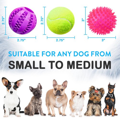 Pacific Pups Products Balls for Dogs - 6 Balls Dog Ball Pack - Small Dog Balls & Dog Balls for Medium Dogs - Dog Tennis Balls, Squeaky Balls for Dogs & Dog Treat Toys