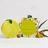 LWYA Olive Me Tender Body Wash and Polish - Exfoliating Body Scrubber with Loofah Sponge - Shower Sponges for Women - Olive - 3 oz