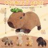 5 in 1 Capybara Plush, 14.2 Inches Capybara Stuffed Animal with Babies Inside Mommy Capybara Plush Pillow with 4 Baby Capybara Plushies Toys in Zippered Pouch for Kids Boys Girls Gifts Party Favors