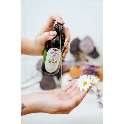 OTACI 10 Herbs Rejuvenate Shampoo for Bright and Shiny Hair, Sage, Peppermint, Melissa, Rosemary, Myrtle, Storax, Thyme, Juniper, Lavender, Chamomile, No Paraben & Silicon, Herbal Shampoo Normal Hair