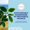 La Grappe d'Or Fresh Mint Marseille Hand Soap with Essential Oils | Handmade in France from Moisturizing Organic Olive & Coconut Oil | Natural, Cruelty-Free & Vegan, 16.90 oz Liquid