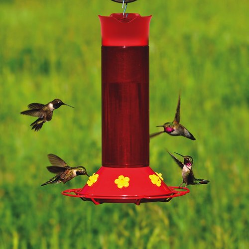 Perky-Pet 409 Hummer’s Favorite Red Plastic Hummingbird Feeder – 30 oz