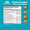 NaturaLife Labs A Higher Standard Vitamin B Complex with Vitamin C and Folic Acid - B12, B1, B2, B3, Vitamin B5 Pantothenic Acid, B6, B7, B9 - Nervous System Support 100 Veggie Capsules