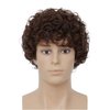 Salaibs Mens Short Curly Brown Wig California Cosplay Costume Daily Hair Wig Synthetic Heat Resistant Wigs for Male Guys