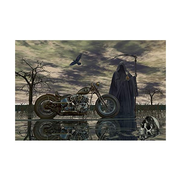 harley MOTORCYCLE SHOVELHEAD CHOPPER STURGIS GRIM REAPER BIKER ART PRINT