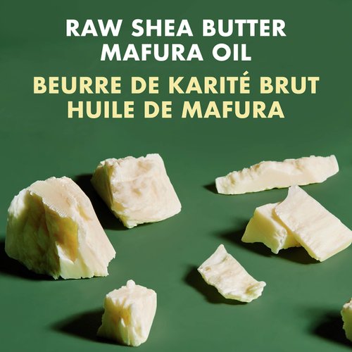 SheaMoisture Men Body Wash Cleanser to Clean and Hydrate Skin Raw Shea Butter and Mafura Oil Moisturizing 15 fl oz