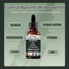 Actora Thyroid Support Drops with Selenium Zinc Iodine L-Tyrosine Ashwagandha Energy Supplement - 4 fl oz (1pcs)