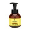The Naked Bee Coconut & Honey Foam Soap (12 oz) Liquid Foaming Hand Soap - Mild Cleanser to Reduce Dryness - Gentle Foam Soap for Clean and Soft Hands