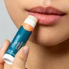Cliganic Organic Lip Balm Set (Fresh Picked, 8 Flavors) - 100% Natural Moisturizer for Cracked & Dry Lips