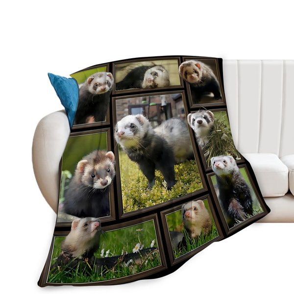Cute Ferret Blanket for Women Girls Boys Men Funny Animal Ferrets Throw Blanket Plush Cozy Flannel Fleece Ultra Soft Fuzzy Blankets Gifts 50"X40"