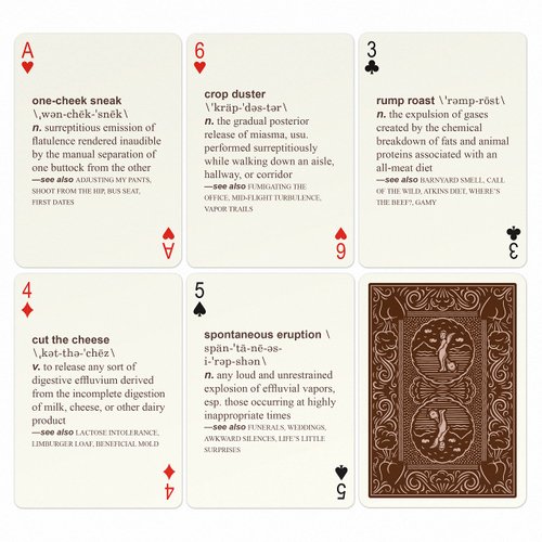 Knock Knock 52 Farts Playing Cards Deck, Adult-Humor Playing Cards (AKA Not Kiddo Friendly!)