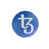 Tezos Pillow - Embroidered Round Stuffed Plush Crypto Pillow by BlockCraft.Shop XTZ Plush Pillow