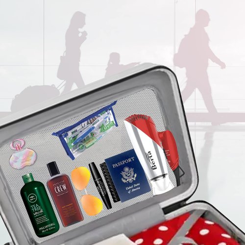 BERTA Hair Dryer, BT031, Ionic, Foldable, Dual Voltage Travel Hair Dryer, Silver, 110 to 250 Volts, 2 Speeds and Settings, Includes Diffuser, for Dry Hair, Corded Electric