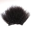ZigZag Hair Afro Kinky Curly Clip In Human Hair Extensions Brazilian Virgin African American 4B 4C Clip in Hair Extensions Natural Clip Ins For Black Women (10inch, 3B 3C)