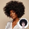 MIMAN Short Afro Wigs for Black Women Human Hair Wig Natural Black Kinky Curly Hair Replacement Wigs 60s 70s Disco Queens Halloween Costume Wig