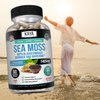 Kaya Naturals Sea Moss | Joint Supplement for Men and Women | with Organic Burdock Root, Irish Moss, Bladderwrack, and BioPerine | for Joint Health and Immune Boost, 60 Count