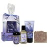 Bath & Body Works Aromatherapy Sleep Lavender Vanilla Travel Gift Bag Set - Body Cream - Body Wash + Foam Bath - Hand Gel Travel Size with a Himalayan Salts Springs Sample Soap.