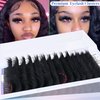 Fluffy Lash Clusters 300D Thick Long 12-25mm Volume Cluster Eyelash Extensions 224Pcs Wispy Individual Lashes D Curl Waterproof Eyelash Clusters Soft False Eyelashes DIY at Home, by Yaiseiko