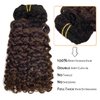 Clip in Human Hair Extensions Afro Jerry Curly 3B 3C Real Hair Clip in Extensions For Black Women Natural Black Colour 100% Brazilian African American Hair Extensions (60cm , Jerry Curly 1B/4)