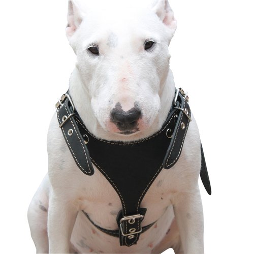 Black Genuine Leather Dog Harness, Medium. 25"-30" Chest, 1" Wide Adjustable Straps