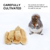 TEHAUX Pet Natural Loofah Chewing Toys, Tooth Clearning Bath Tools for Small Animal Dog Cat Chinchillas Bunny Hamster Guinea Pig Rabbit Molar Toys,5pcs