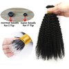 ZigZag Hair Afro Kinky Curly F Tips Microlink Human Hair Extensions 1g/strand 100g Plastic Fearther F Tips Bundles 4B 4C Nano Ring I Tip for Black Women (14 Inch, 4B 4C)