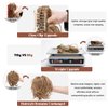 CJL HAIR Claw Clip Short Ponytail Hair Extensions Bendable Metals Messy Bun Hair piece Wavy Curly Fake Hairpieces (Dirty Blonde, Straight,8inch)