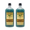 Bath & Body Works Aromatherapy Joyful BLACK CURRANT + PINE 2 Pack Body Wash & Foam Bath Bundle - 10 fl oz / 295 mL each