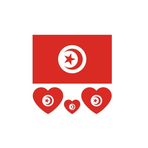 ZPDNURZL 10 Sheets Tunisia Flag Tattoos Stickers 40 Pcs Waterproof Sweat Sports National Flag Removable Fake Tattoos