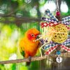 LUOZZY Parrot Foraging Toy Parrot Chewing Toy Bird Bell Pendant Bird Cage Supply Pet Accessories - Random Color
