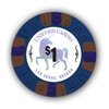DA VINCI Pack of 50 Unicorn All Clay 9 Gram Poker Chips with Denomination, Authentic Casino Weighted Chips (Blue $1)