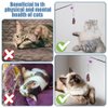 MiOYOOW 5PCS Cat Feather Toy Attachments, Interactive Cat Wand Toy Refills Detachable Cat Toy Wand Attachments with Bells for Cat Toy （Random Colors）