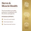 Solgar Potassium Amino Acid Complex, 100 Tablets - Nerve & Muscle Health - Promotes Electrolyte Balance - Non-GMO, Vegan, Gluten Free, Dairy Free, Kosher - 100 Servings