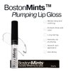 Healthy, Naturally Lip Plumping Clear LipGloss, Southie Pout (.25oz) - Vegan, Plant-Based ingredients. Cooling Mint Enhances Fullness, while Avocado Oil and Jojoba provides lasting Hydration.