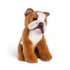 DEMDACO Bulldog Tan and White 9.5 Inch Polyester Soft Plush Stuffed Animal