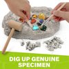 LotFancy Gemstone Dig Kit, Excavate 20 Real Gems, Science Kit for Kids Age 8-12, Educational Toy, Birthday Gift for Boys Girls with Mining Tools