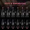 Ranrose Long Almond Nail Tips: 240pcs Gel x Nail Tips Full Cover Almond False Nail 12 Sizes Half Matte Pre-shape Acrylic Almond Shaped Press On Nail Tips DIY Nail Salon