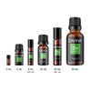 Deep Breath Pure Essential Oil Blend 10ml by Davina