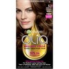 Garnier Olia Oil Powered Permanent Hair Color, 5.3 Medium Golden Brown (Packaging May Vary)