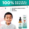 Natural Mullein Ear Wax Removal Oil & Cleaner with Strawberry for Kids | Pain & Earache Drops | Earwax Softener, Moisturizer & Allergy Soothing | Tinnitus, Itching, Ringing, Infections & Clogged Ears