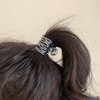 Myhiju Metal Hair Clips, 2 Pcs High Ponytail Clips for Women, Non-Slip Small Claw Clips for Thick Hair, Hair Accessories for Long Hair, Black & Silver