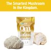 OM Mushroom Superfood | Lion's Mane | USA Grown Organic Mushrooms |Memory, Focus, Clarity, Nerve Health, & Mood Support | 3.5 oz, 50 Servings Powder Supplement Pouch