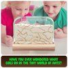 Ant Farm Kit for Kids - Ants Farms Colony - Includes Ant Voucher - Sand Habitat Kits - Bug Terrarium House - Educational Science Gifts for Kids - Nature Learning Toys for Boys, Girls & Adults