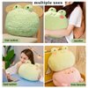 NatureMan Frog Plush Pillow, Super Soft Frog Stuffed Animal, Adorable Plush Frog Hand Warmer for Adults Children (Green Frog)