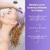 MOEHAIR Color Infuse Blonde – 12 Fl. Oz | Purple Toner for Blonde Hair | Neutralizes Brassiness and Unwanted Yellow Tones | Salon-Grade Hair Toner for Brassy Hair | Brass Off | Sulfate & Paraben-Free