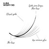 LLBA Promade Wispy Lash Extensions 9D 0.05, 100% Handmade Eyelashes Volume Fans, C Cc D Curls, 9-17 Mm Length, Long-Lasting, Easy Application (C 14 mm)