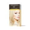 Ion Intensive Shine Hair Color Kit Lightest Blonde 10N Lightest Blonde 10N