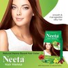 Neeta Natural Henna Based Hair Color Dye Powder With Powers of 5 Herbs & 100% Herbal Henna Leaves For Natural Brown Hair Color & Smooth Silky & Strong Hair - 4.41Oz